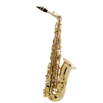 Selmer Paris Axos Alto Saxophone