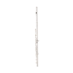 Eastman EFL420-BO Advanced Flute