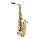 Selmer SAS711 Alto Saxophone