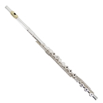 Gemeinhardt KG Special Flute