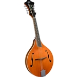 Rover RM-70 A-Model Mandolin W/Bag