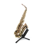 Yanagisawa A-WO20 Alto Saxophone - Bronze