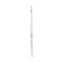Eastman EFL420-BO Advanced Flute