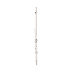 Eastman EFL420-BO Advanced Flute