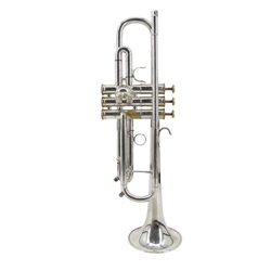 Getzen Renaissance 20S Bb Trumpet