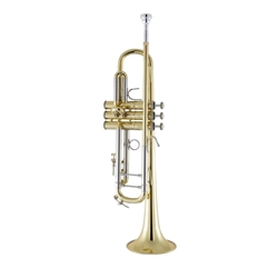 Bach Stradivarius 18043R Trumpet