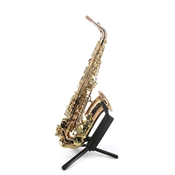 Yanagisawa A-WO20 Alto Saxophone - Bronze