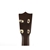 Show Picture 8